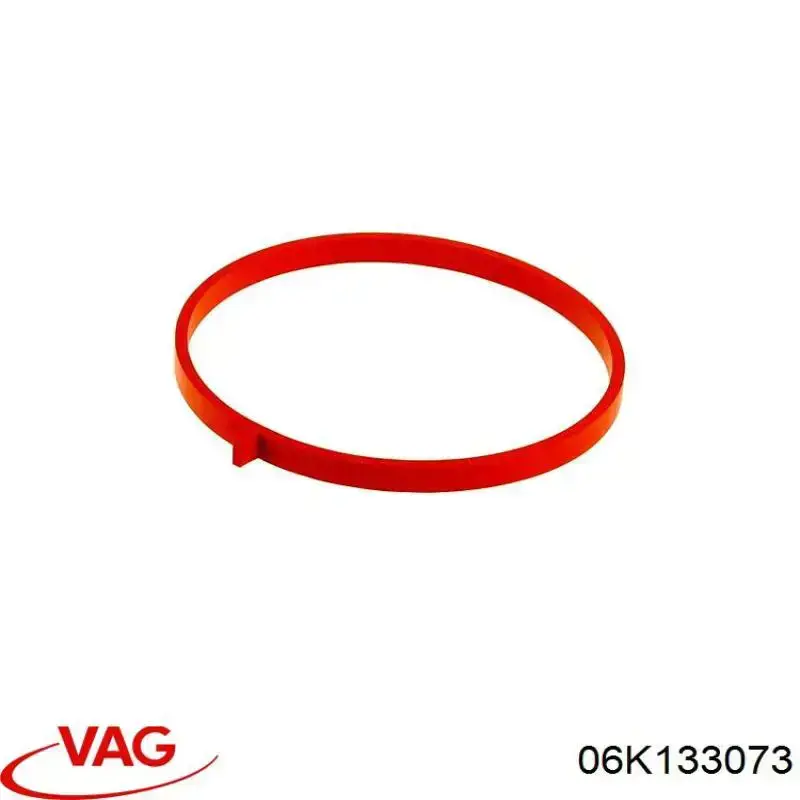 06K133073 VAG 