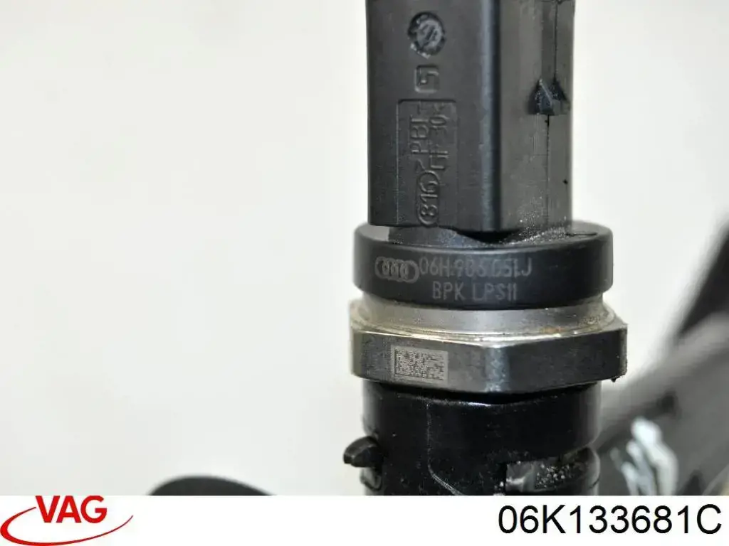 Распределитель топлива (рампа) 06K133681C VAG