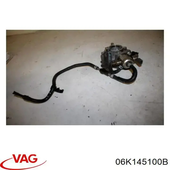 06K145100B VAG