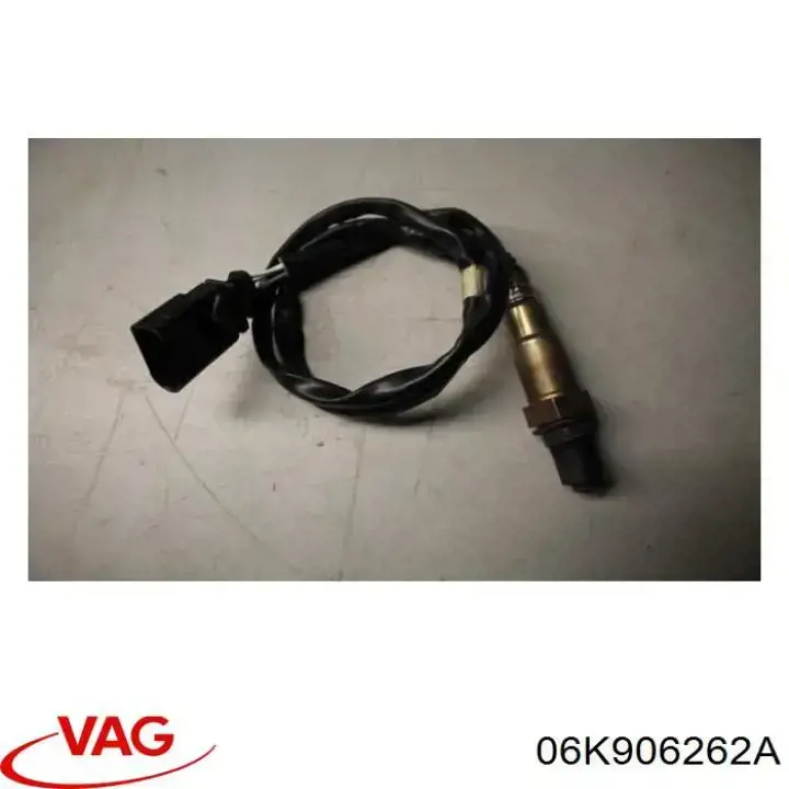  06K906262A VAG