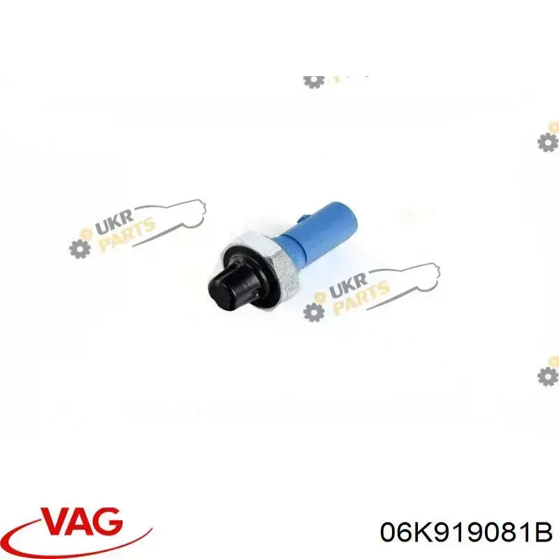 06K919081B VAG Датчик указателя давления масла