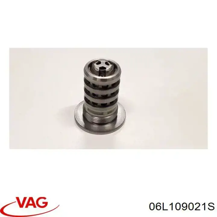 Распредвал двигателя впускной VAG 06L109021D цена, от 316.56 USD