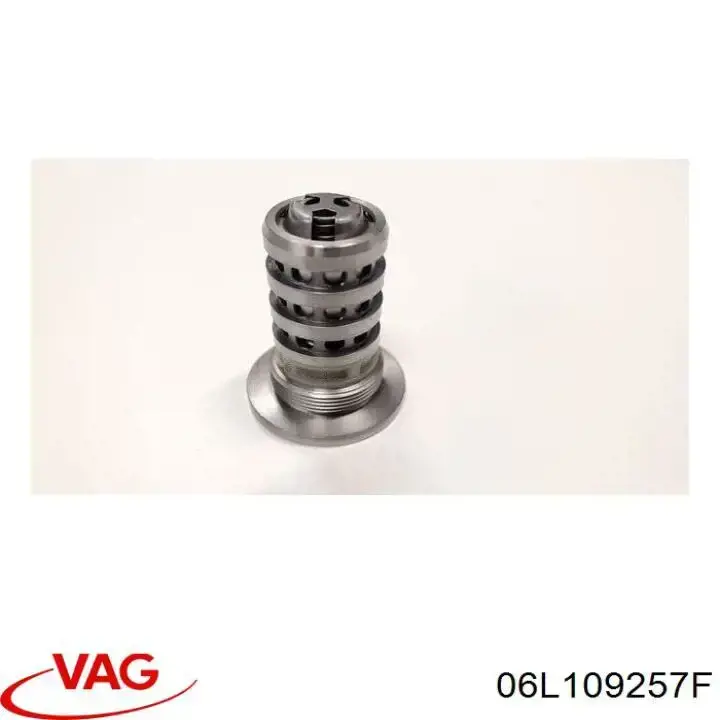 Купить 06L109257F VAG Клапан электромагнитный положения распредвала