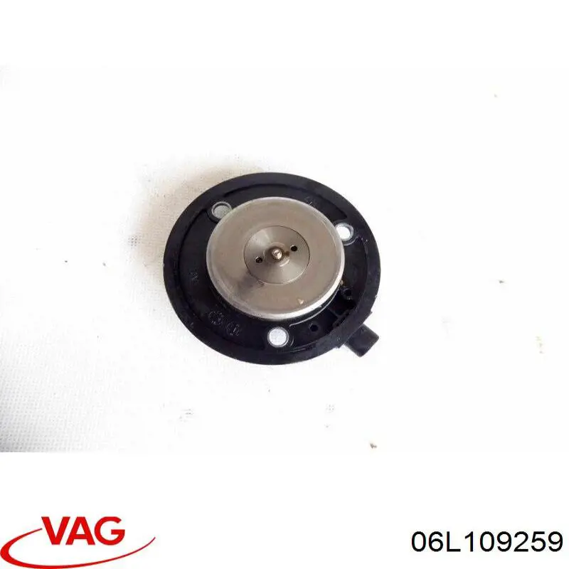 06L109259 VAG Клапан положения фаз распредвала