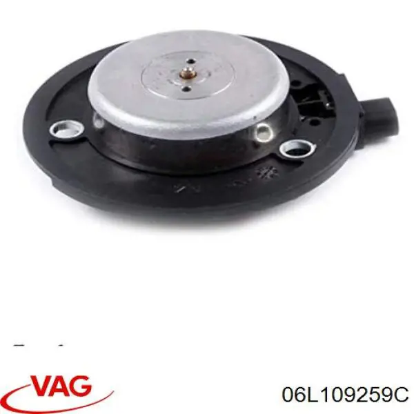 06L109259C VAG клапан электромагнитный положения (фаз распредвала)
