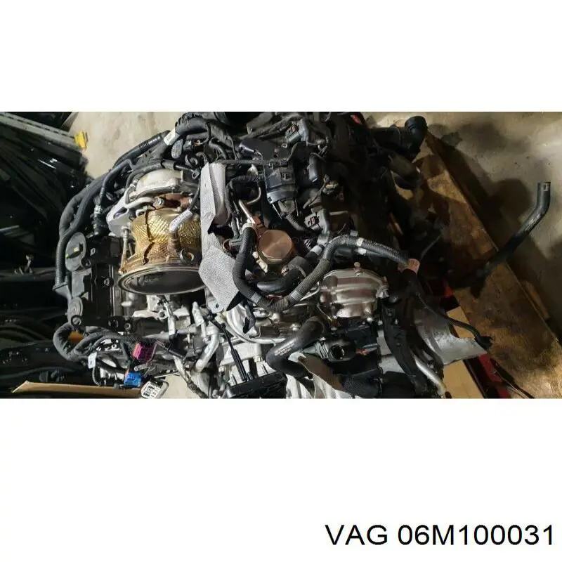 06M100031 VAG 