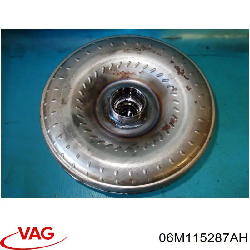  VAG 06M115287AH