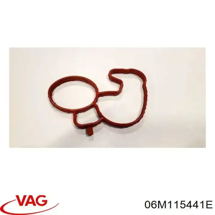 06M115441G VAG 