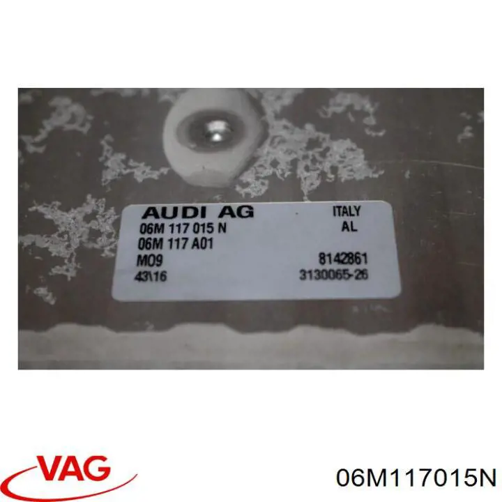 Купить 06M117015N VAG 