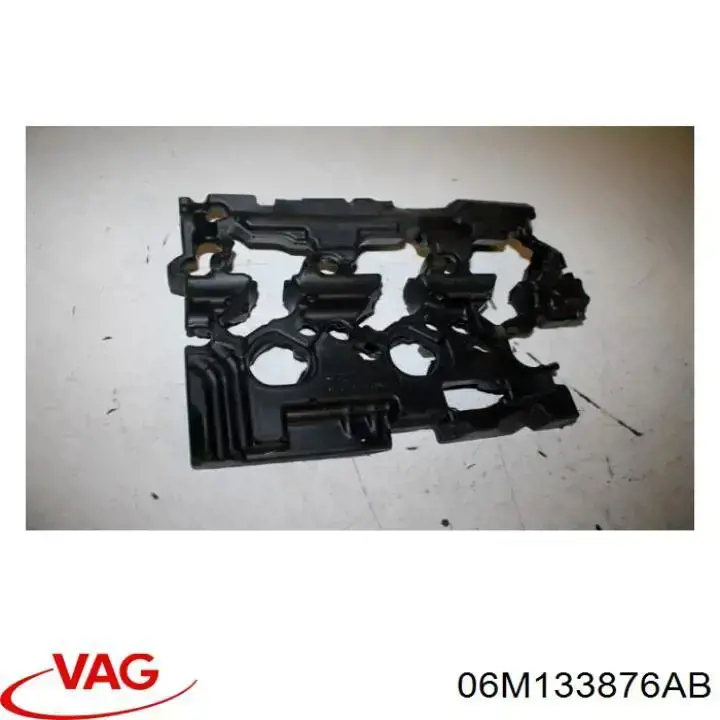  06M133876AB VAG