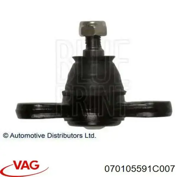 070105591C007 VAG