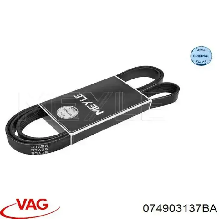 Купить 074903137BA VAG Ремень генератора