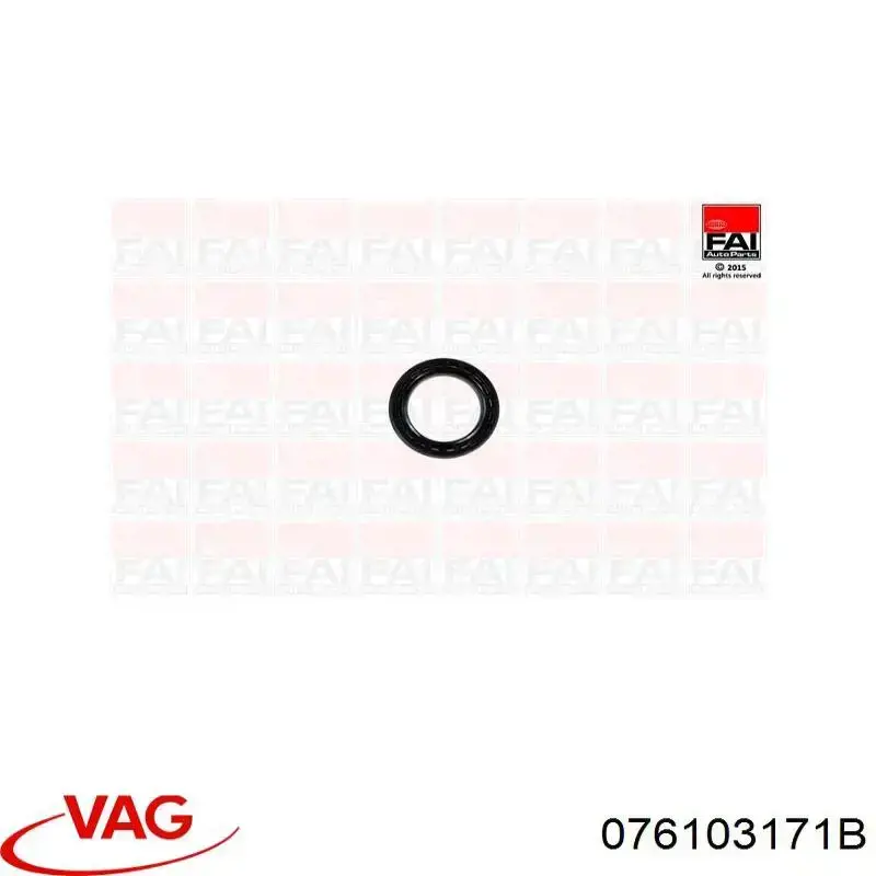 Купить 076103171B VAG Сальник коленвала задний