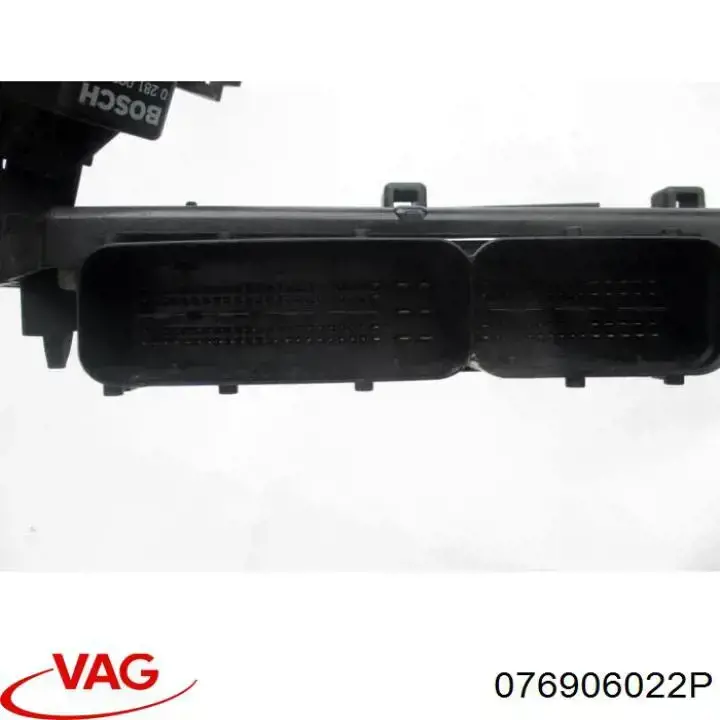 076906022P VAG Мозги двигателя