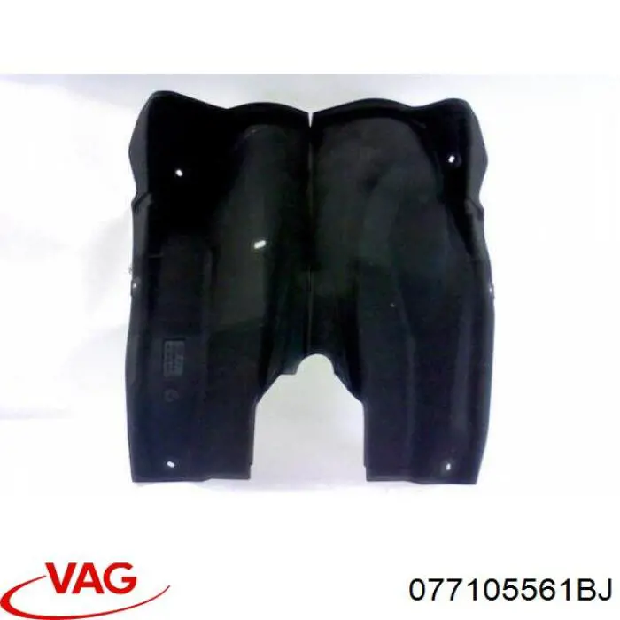 077105561BJ VAG 