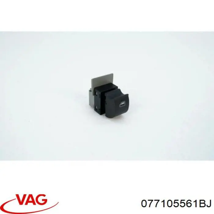  077105561BJ VAG