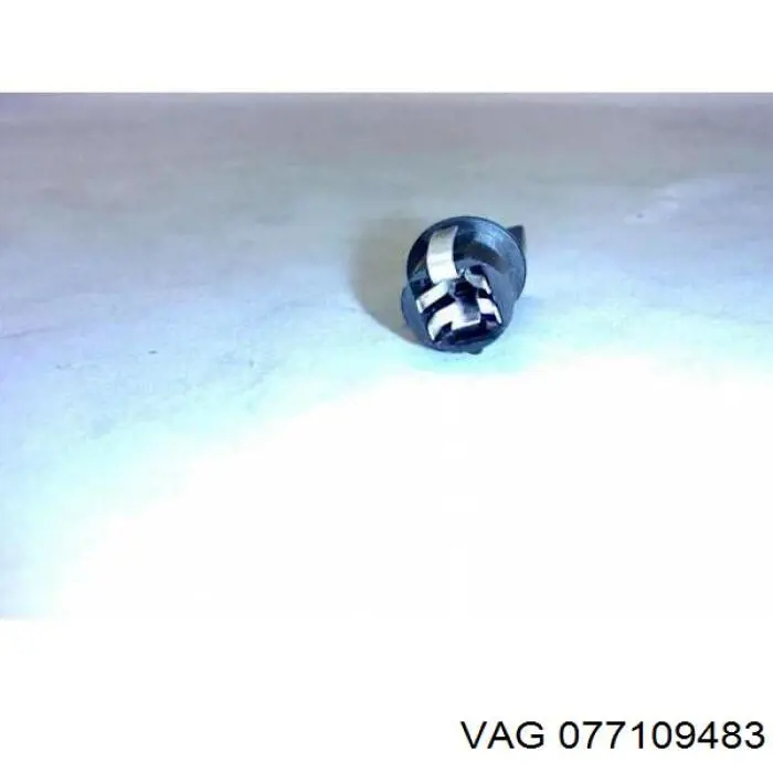 077109483 VAG 