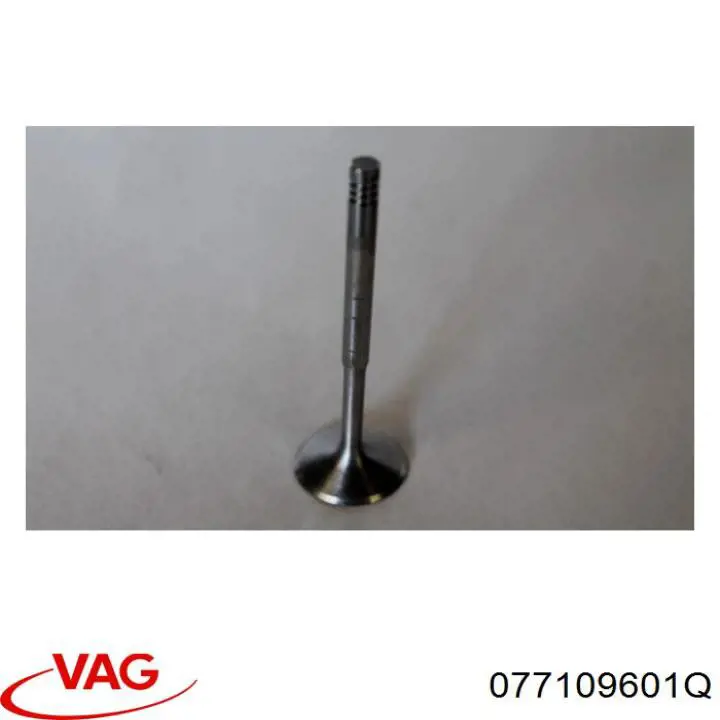 Впускной клапан 1579 Osvat