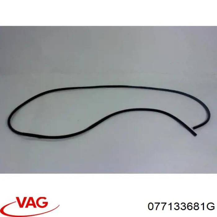077133681G VAG Топливная рампа