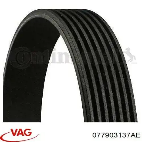 Купить 077903137AE VAG Ремень генератора