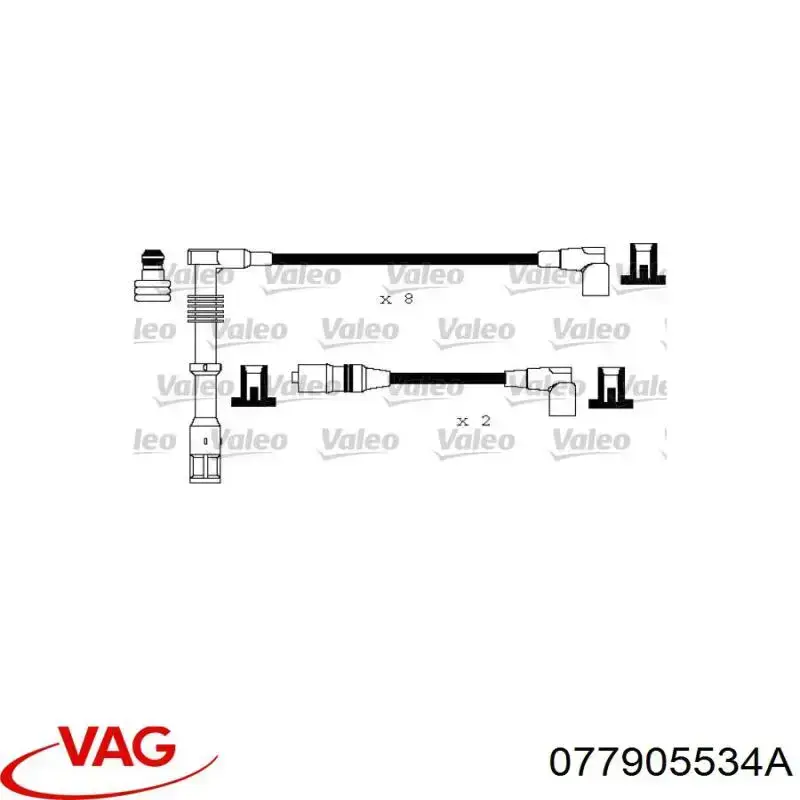077905534A VAG 
