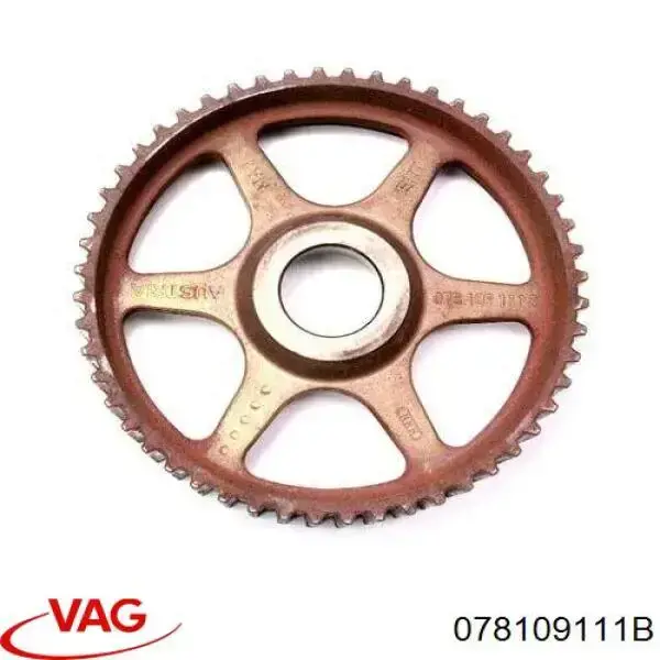 Compre Engrenagem de cadeia da roda dentada da árvore distribuidora de motor Audi A8 