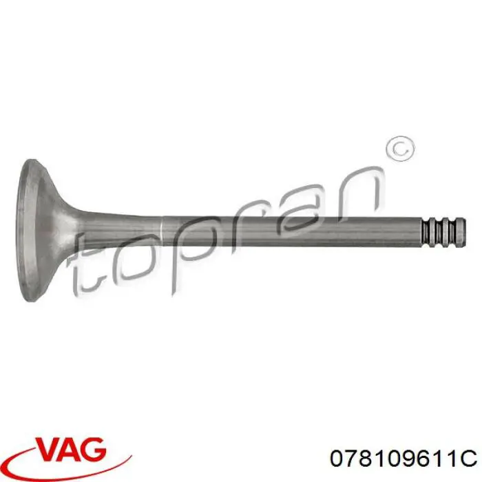 Выпускной клапан двигателя VAG 078109611C цена, от 4.53 USD