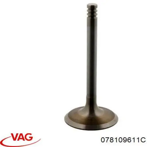 Купить 078109611C VAG Выпускной клапан