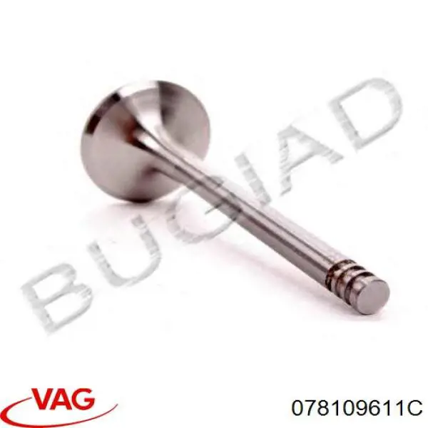 Выпускной клапан 078109611C VAG