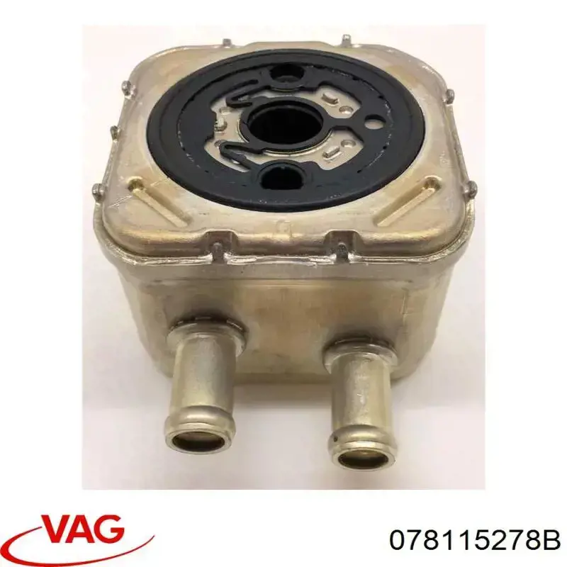 Купить 078115278B VAG 