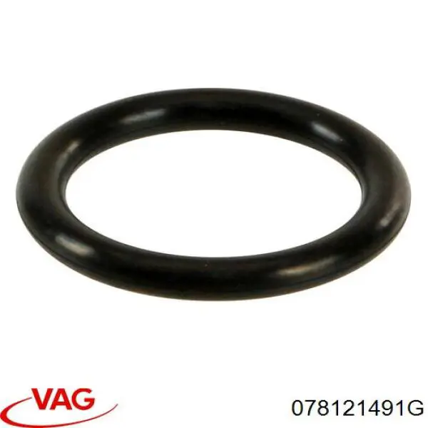 Купить 078121491G VAG 