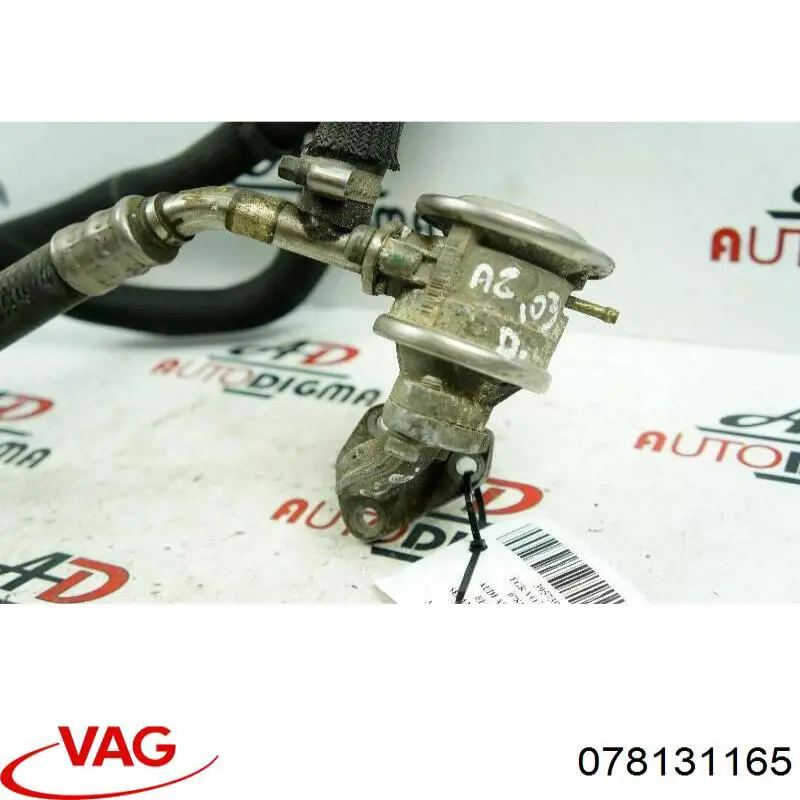 078131165 VAG 