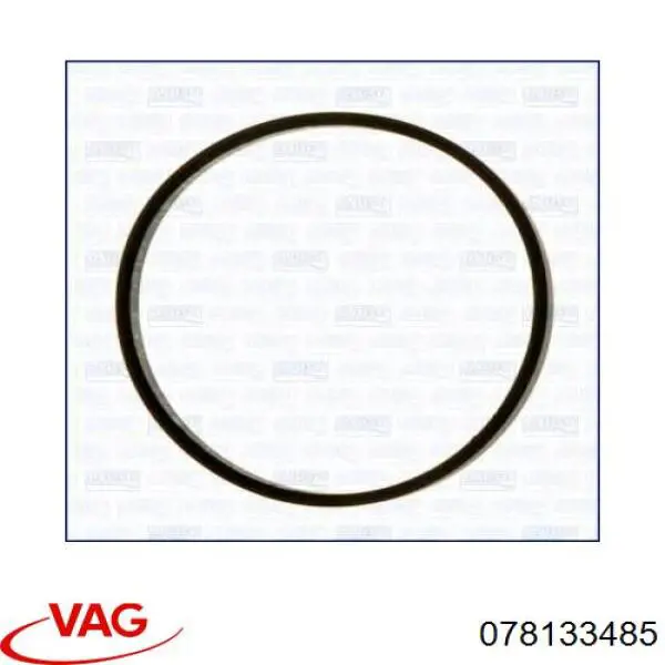 078133485 VAG 