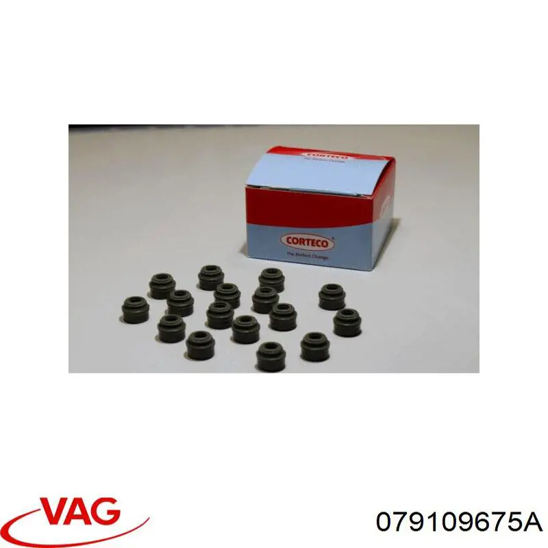 079109675A VAG 