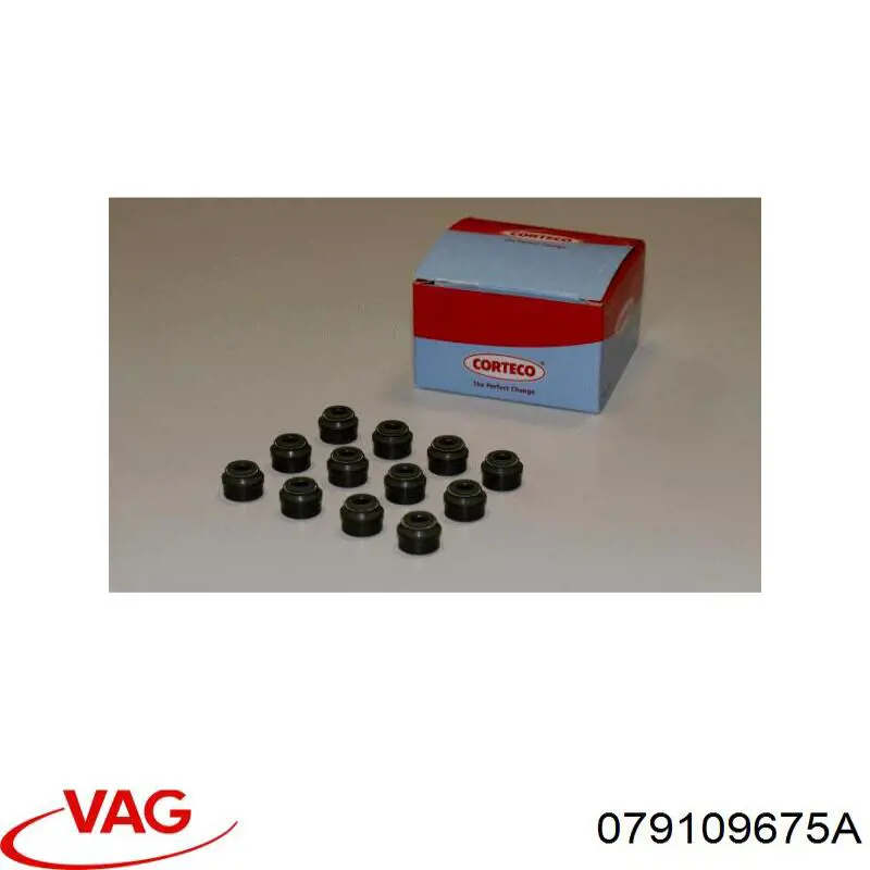 Купить 079109675A VAG 