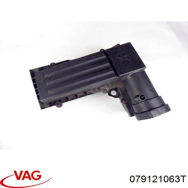  079121063T VAG