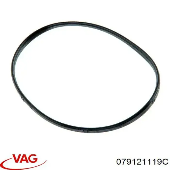 079121119C VAG/Audi
