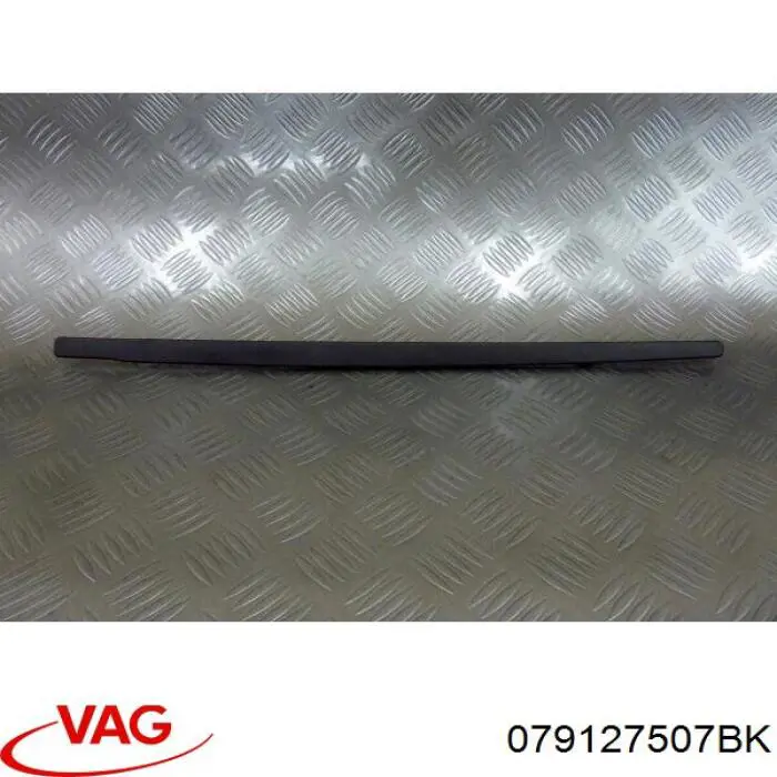  079127507BK VAG