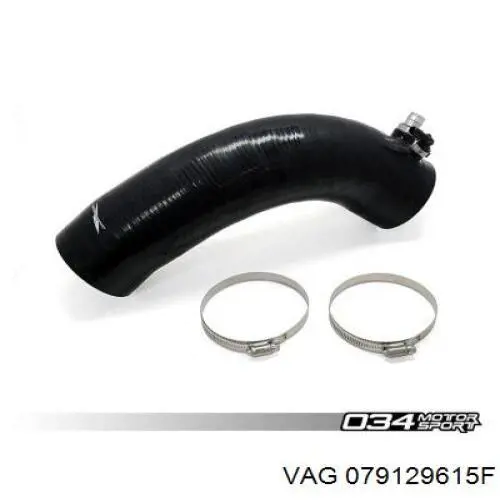  VAG 079129615F