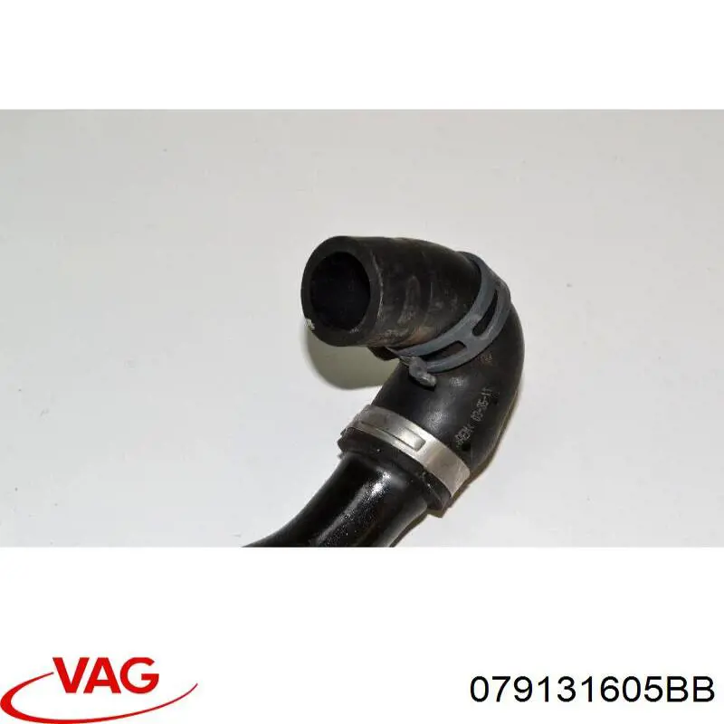 Купить 079131605BB VAG 