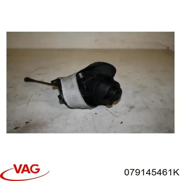 079145461K VAG 