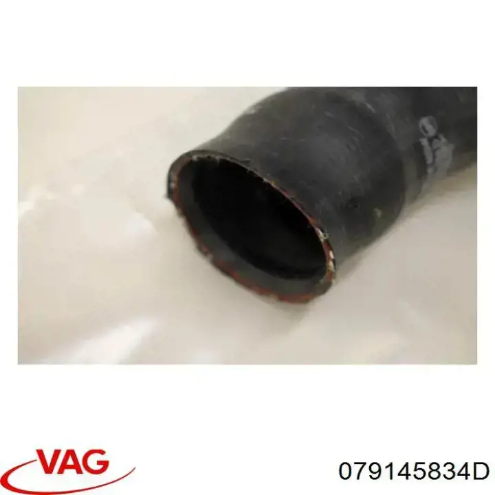  079145834D VAG