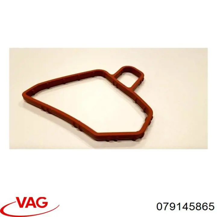  VAG 079145865 цена, от 18.21 USD