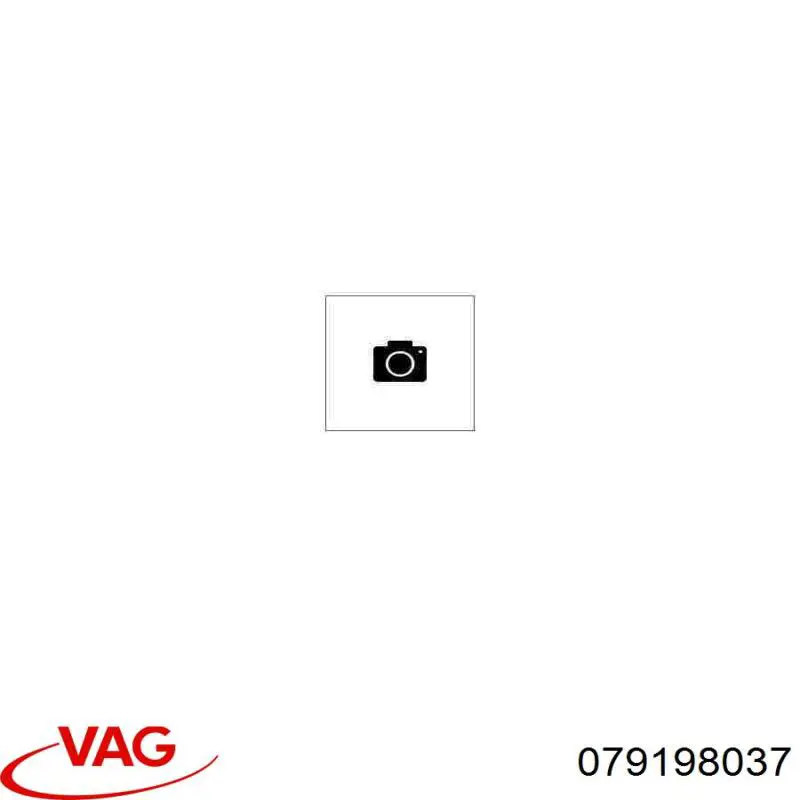 079198037 VAG 