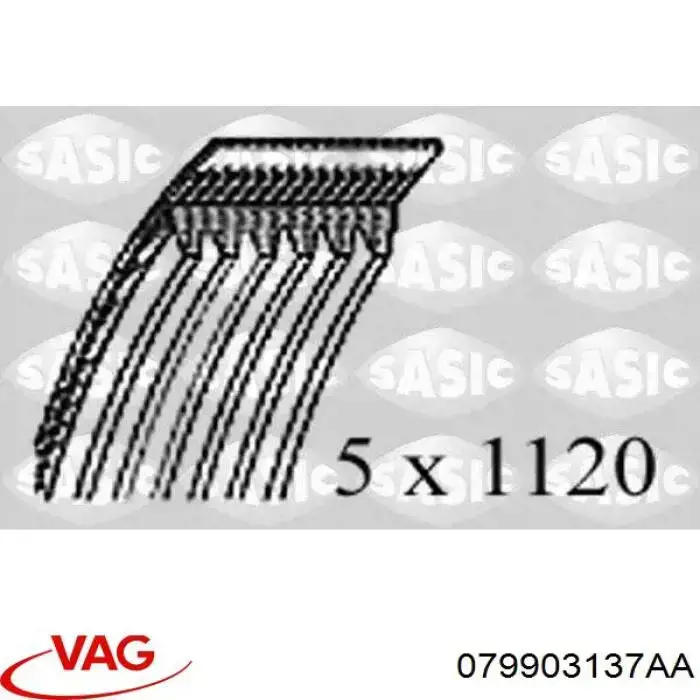 079903137AA VAG Поликлиновый ремень