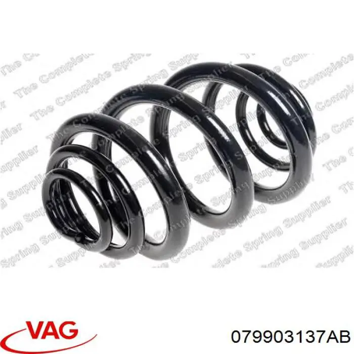 079903137AB VAG Поликлиновый ремень