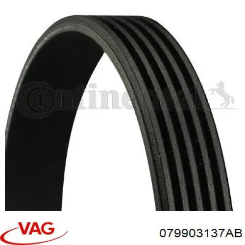 Купить 079903137AB VAG Ремень генератора
