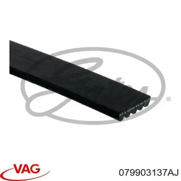 079903137AJ VAG Поликлиновый ремень