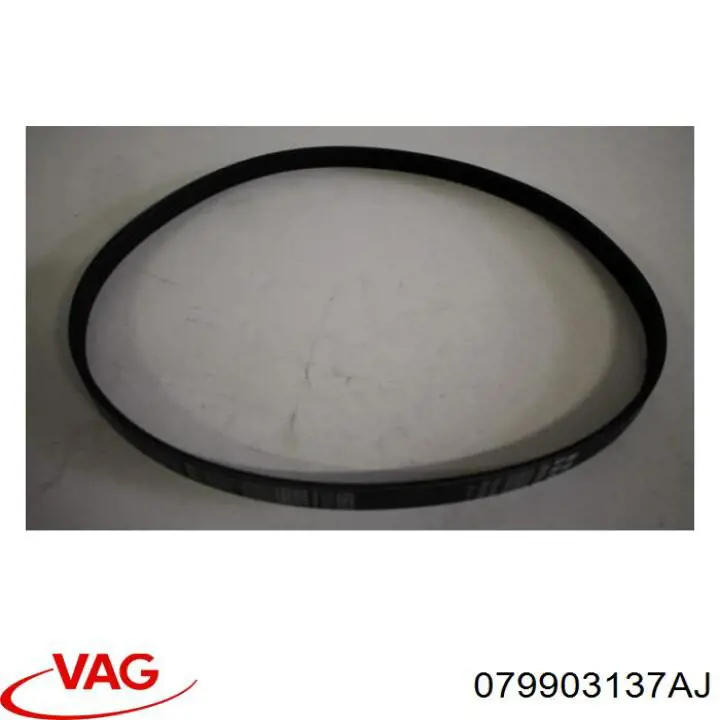 Купить 079903137AJ VAG Ремень генератора