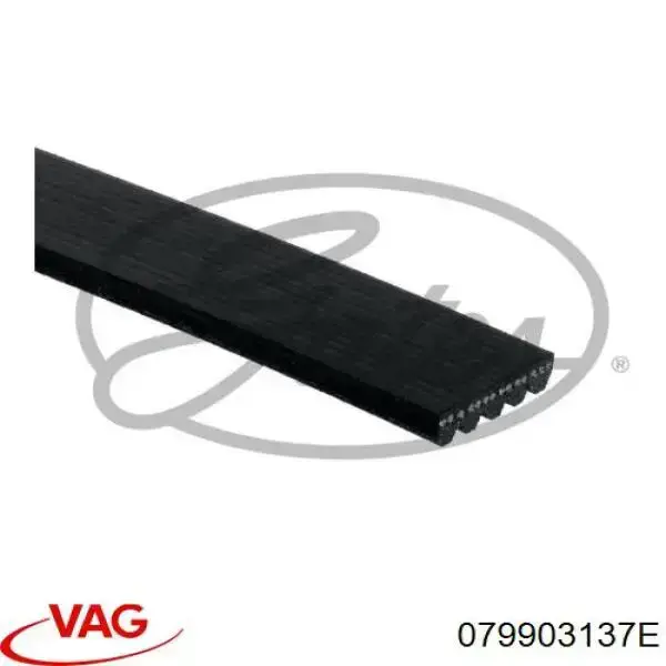 079903137E VAG Поликлиновый ремень